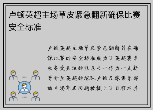 卢顿英超主场草皮紧急翻新确保比赛安全标准 卢顿英超主场草皮紧急翻新确保比赛安全标准